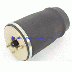 Bóng hơi sau trái BMW X5 E53 M54 M62