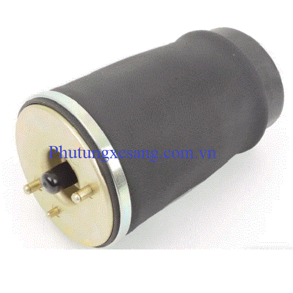 Bóng hơi sau trái BMW X5 E53 M54 M62 Bóng hơi sau trái BMW X5 E53 M54 M62