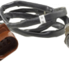 Capture 4 81