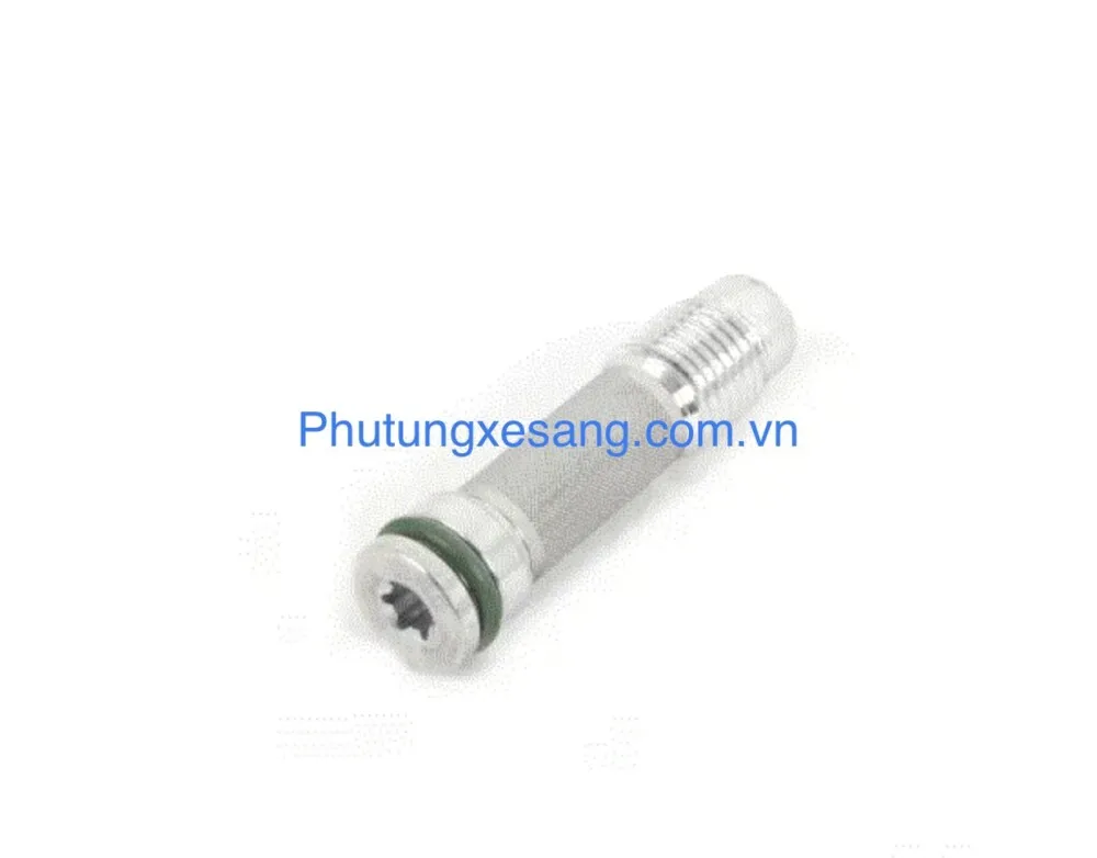 Valve kiểm tra hồI dầu động cơ BMW Valve kiểm tra hồI dầu động cơ BMW
