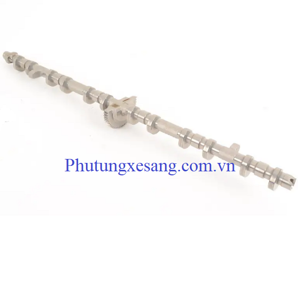 Trục lệch tâm động cơ BMW X1 X3 X5 Trục lệch tâm động cơ BMW X1 X3 X5