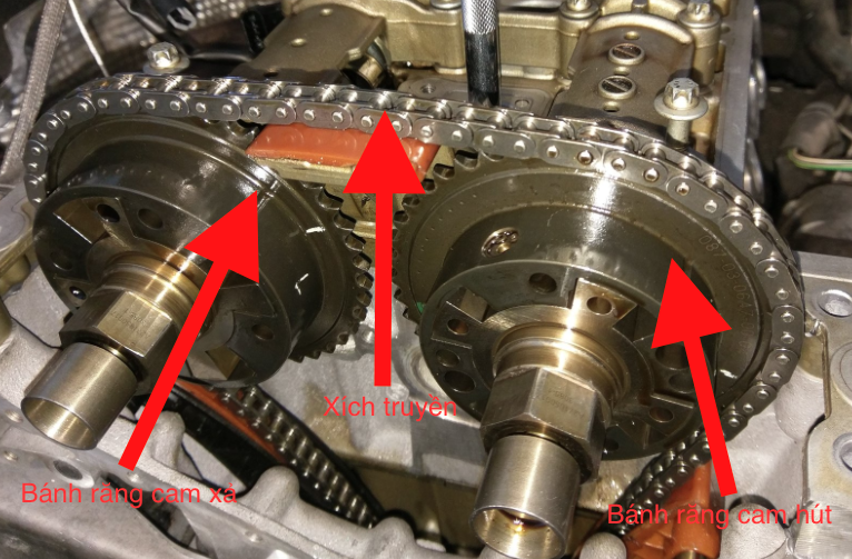 Bánh răng cam hút, cam xả BMWX5,Mercedes,audi,porsche 4 Vị trí bánh răng cam hút và xả