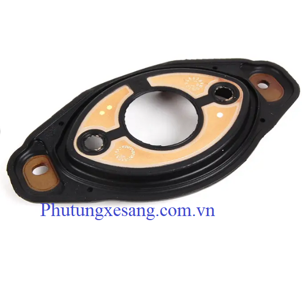 Ron mô tơ xoay cam BMW X3 X5 528i Ron mô tơ xoay cam BMW X3 X5 528i