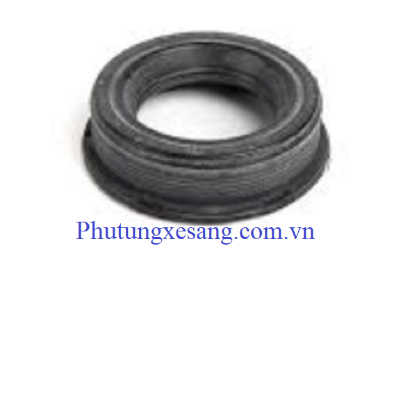 Vòng đệm kín cho trục lệch tâm BMW Vòng đệm kín cho trục lệch tâm BMW