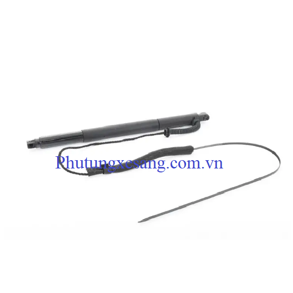 Ty chống cốp điện BMW X6 E71 E72 Hyb Ty chống cốp điện BMW X6 E71 E72 Hyb