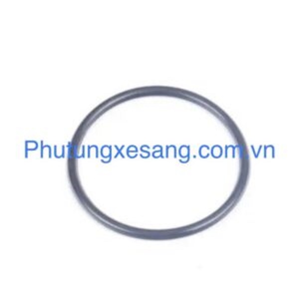 Gioăng van hằng nhiệt vào bơm Audi A Gioăng van hằng nhiệt vào bơm Audi A