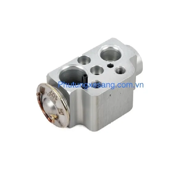 Van tiết lưu dàn lạnh sau Audi Q7 Van tiết lưu dàn lạnh sau Audi Q7