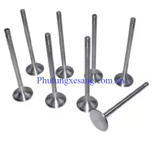 Xupap hút Audi A3 A4 A5 Q5 S6 S7 S8 Xupap hút Audi A3 A4 A5 Q5 S6 S7 S8