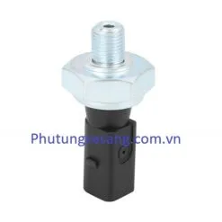 Cảm biến áp xuất dầu Audi Q3 Q7 A3 A4 A6 RS4 R-06A919081F 2 Cảm biến áp xuất dầu Audi Q3 Q7 A3 A