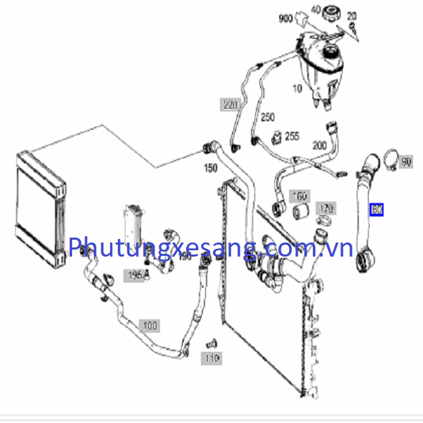 Ống nước vào két nước Mercedes S300 Ống nước vào két nước Mercedes S300