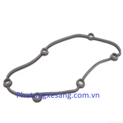 Tappi cửa trước phải BMW X5 E70 2006
