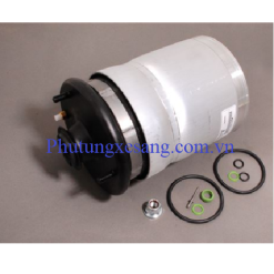 Bóng hơi giảm sóc sau Land Rover 2005-2014-LR016411, RTD501090, RPD000305