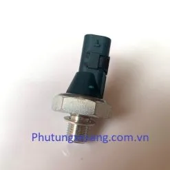 Cảm biến áp xuất dầu động cơ xe Audi Q7 A4 A5 2.0 2016-2019-06L919081, 06L919081A