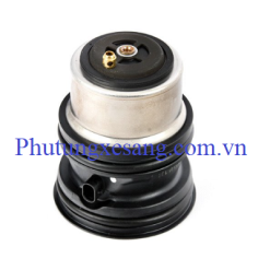 Van hằng nhiệt Poscher Panamera Cayenne Macan 4,8L 3.0L 3.6L-94810603403, 94810603400, 94810603401