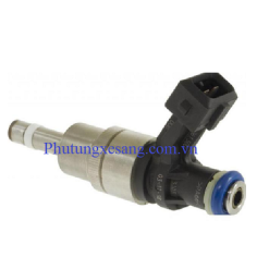 Kim phun nhiên liệu xe hantom RR1 Drophead Coupé BMW 760i 760LI E65 N73-13647512081, 13640151527