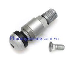 Van áp suất lốp Porsche Cayenne BMW M3 M6 X3 X5 X6 135i 330i 335i 525i 740i Audi Q7 A4-95536105300