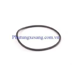 Gioăng bơm chân không BMW X1 X3 X5 Z4 118i 120i 316i 318i 540i 545i 550i 650i 735i 740i-11667509080