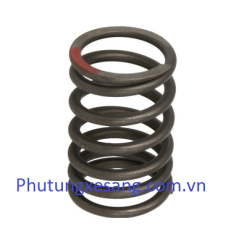 Lò xo supap hút Mercedes Vito E250 ML250 GLK250 GLC300d W651 M112 2013-2022-A6510530020