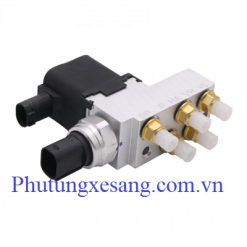 Van chia hơi Mercedes E320 E350 E500 CLS500 CLS550 CLS63 1994-2011-A2113200158, A2113200258