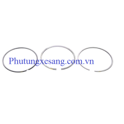 Xéc măng BMW X5 550i 650i 750i E53 E70 E60 E63 E65 E66 2004-2010-11257549510,11257543324