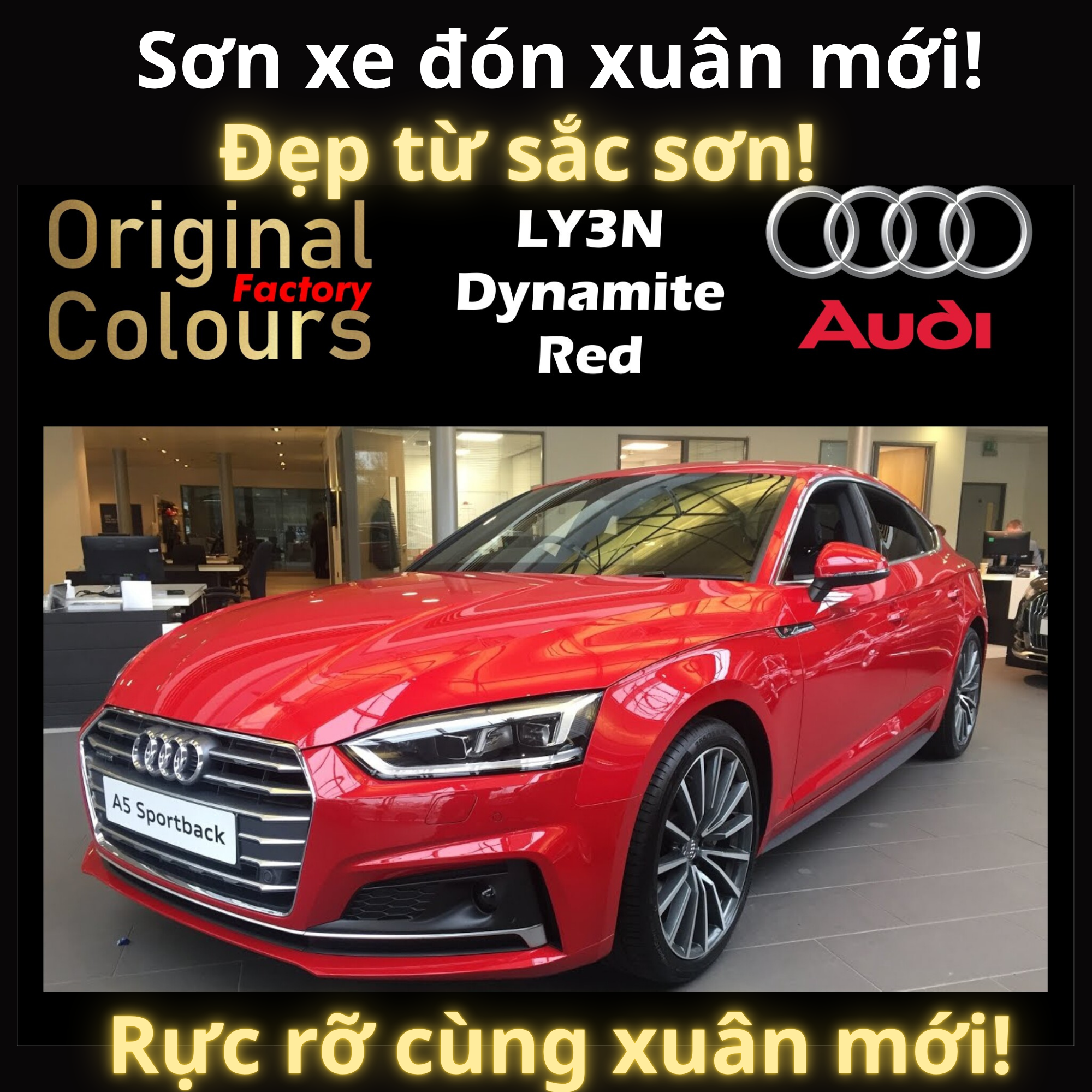 Dịch Vụ Sơn Xe Uy Tín Tại Phường Láng, Hà Nội – Đẹp Như Mới, Bền Màu Theo Thời Gian 1 Dịch Vụ Sơn Xe Uy Tín Tại Phường Láng, Hà Nội